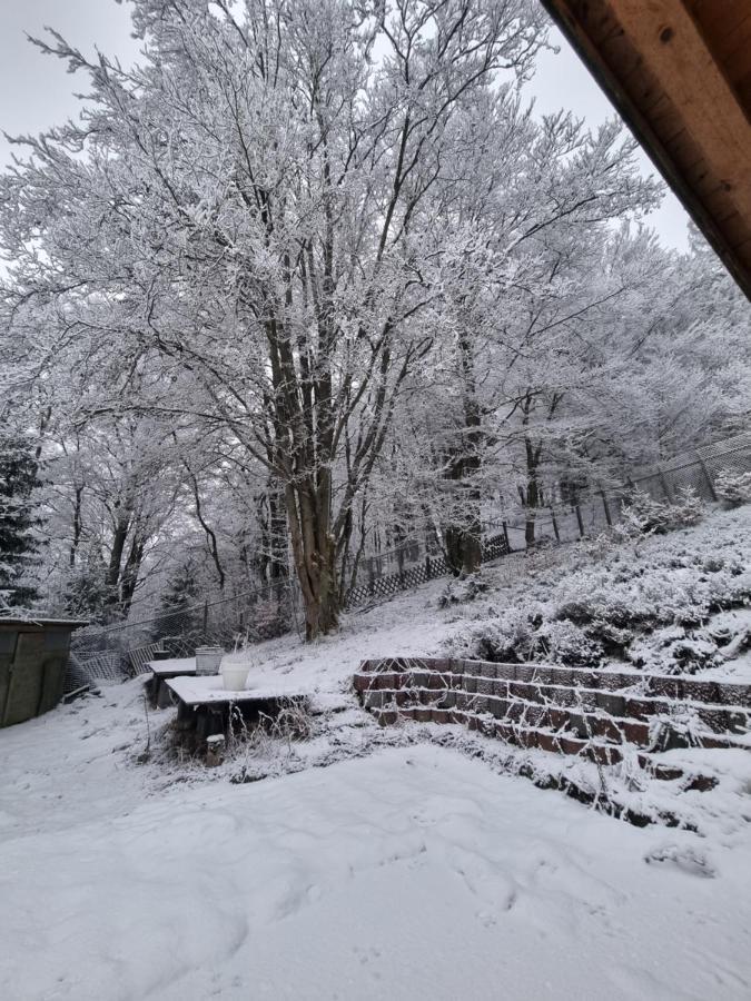 Ferienwohnung Schneeberg Stryck Екстер'єр фото